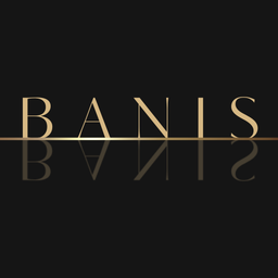 Banis CPA Consulting Inc.